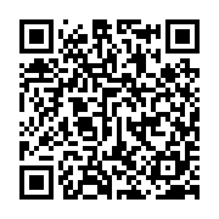 QR code for EIU295