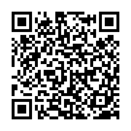 QR code for EIU441