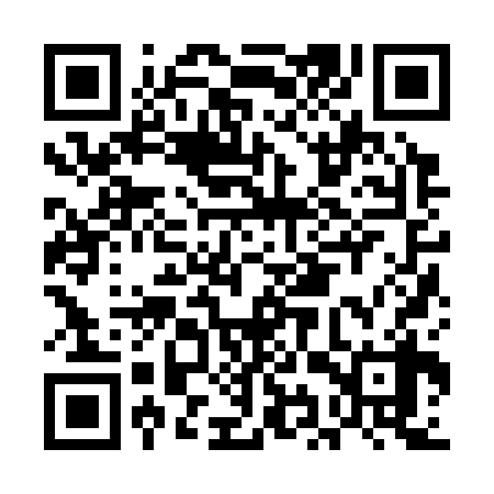 QR code for EIZ338