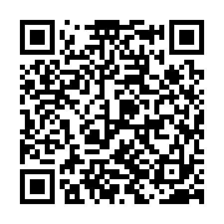 QR code for EJI333