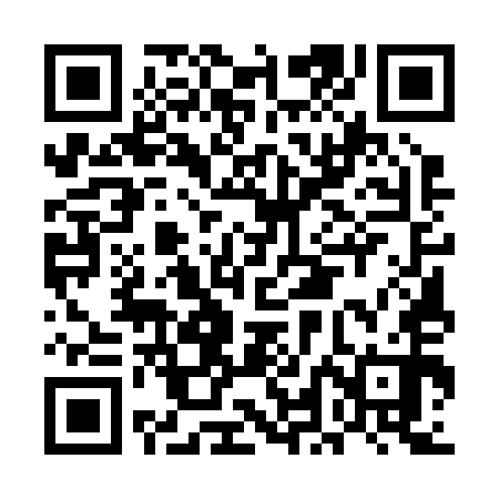QR code for ELE250