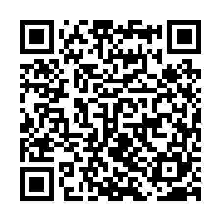 QR code for ELE265