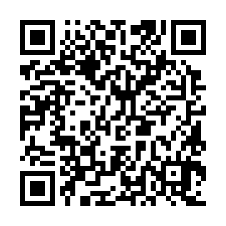 QR code for ELE384