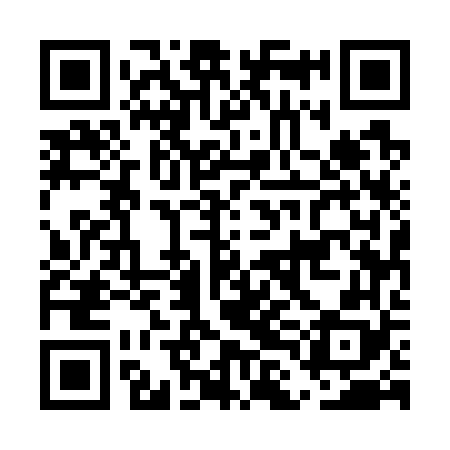 QR code for ELE768