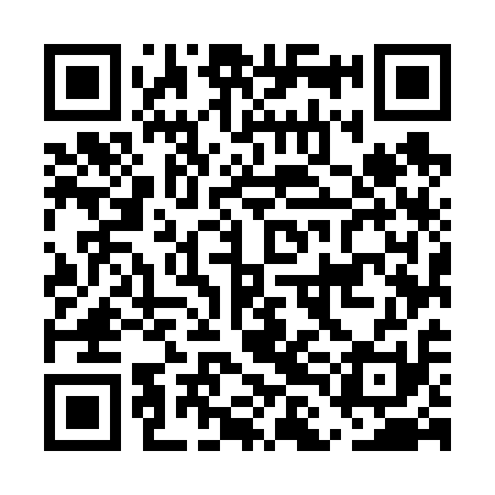 QR code for ELM611
