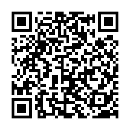 QR code for ELS538