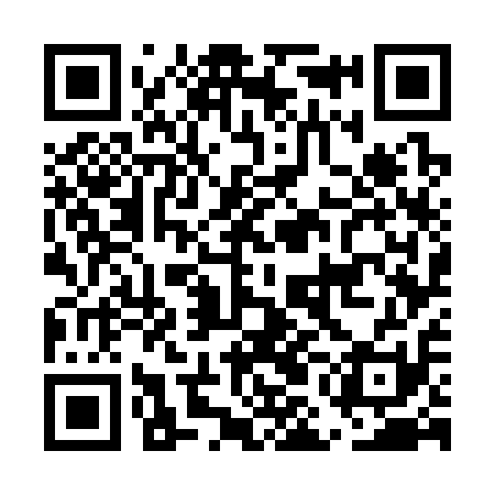 QR code for EMG311