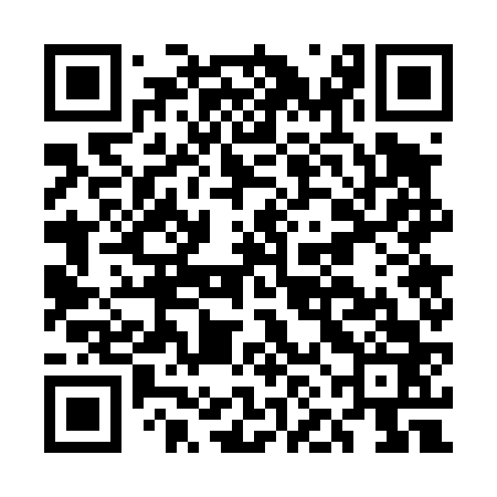 QR code for ENG463