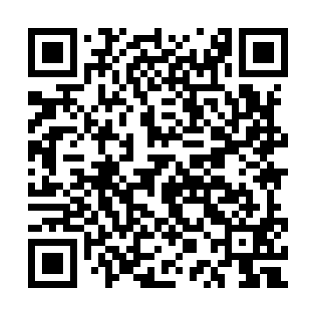 QR code for EPI991