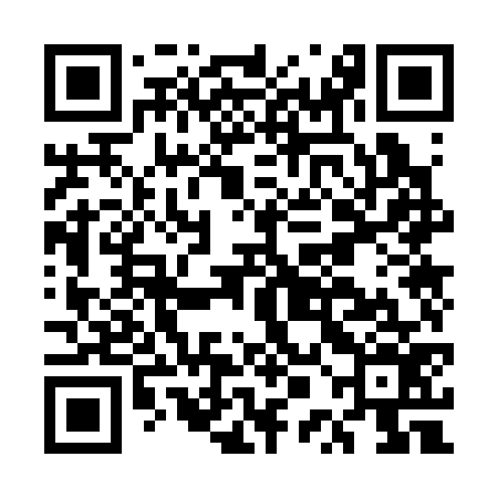 QR code for EPO376