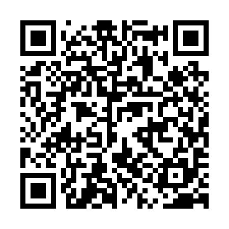 QR code for EQE295