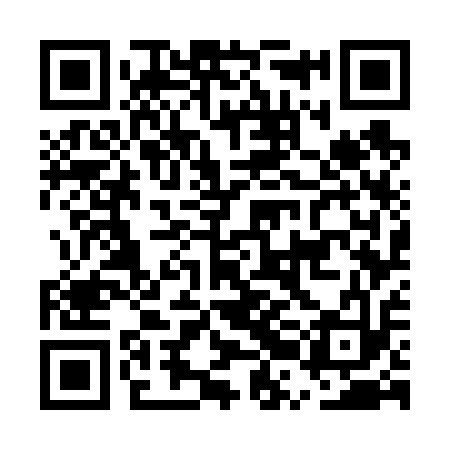 QR code for ERG613
