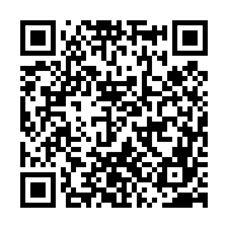 QR code for ESE466