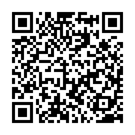 QR code for EUR919