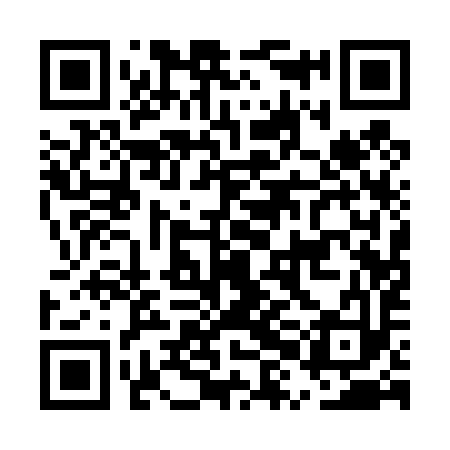 QR code for EXA493