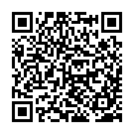 QR code for FAB384