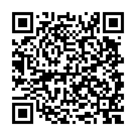 QR code for FAF491