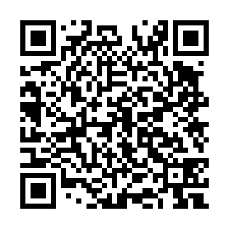 QR code for FAO438