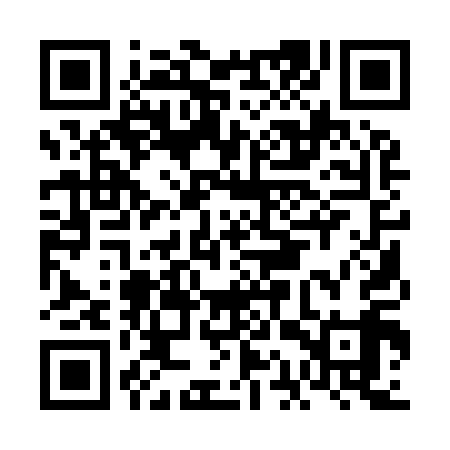 QR code for FAQ919