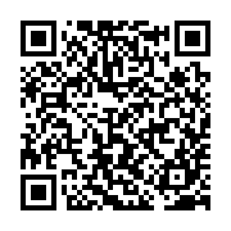 QR code for FAS384