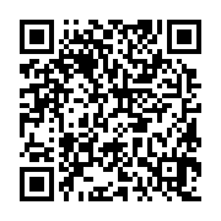QR code for FAU384