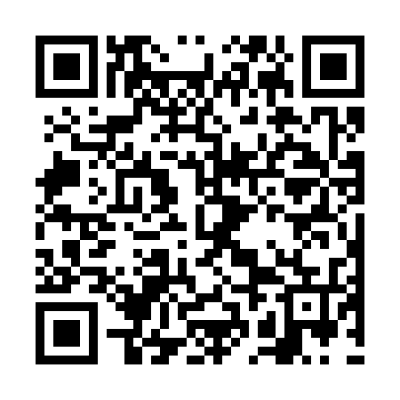 QR code for FBG335