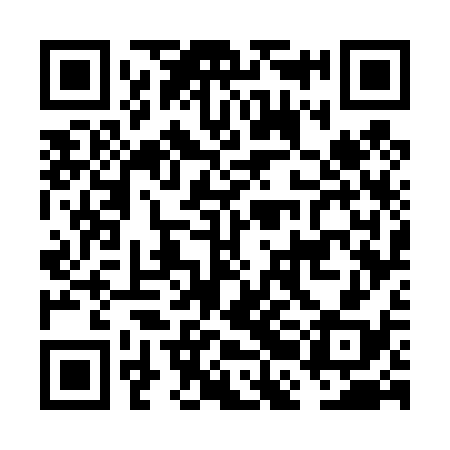 QR code for FBG438