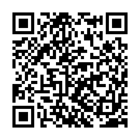 QR code for FBI313