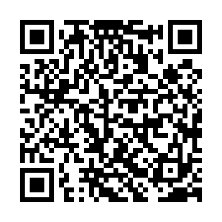 QR code for FBX533