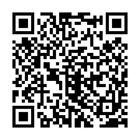 QR code for FDI493