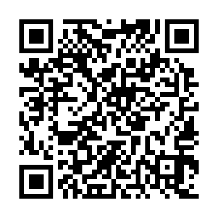 QR code for FDO313