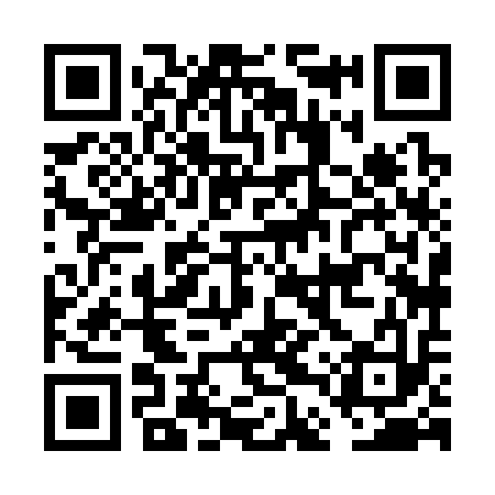 QR code for FDX313