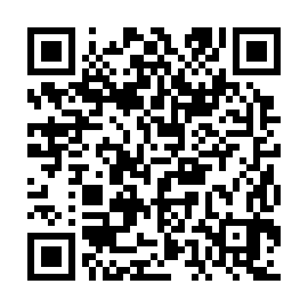 QR code for FEB383