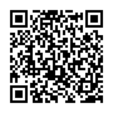 QR code for FEE393