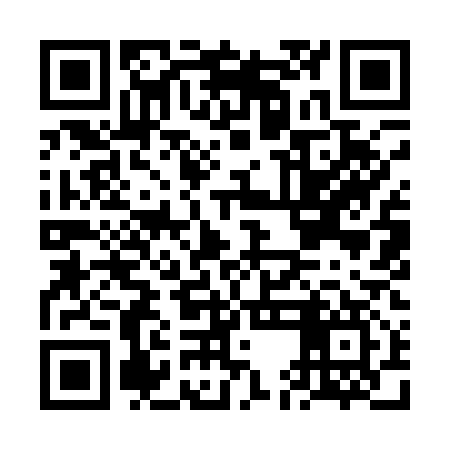 QR code for FEI117