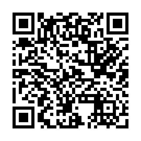 QR code for FEI141
