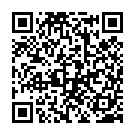 QR code for FEI451