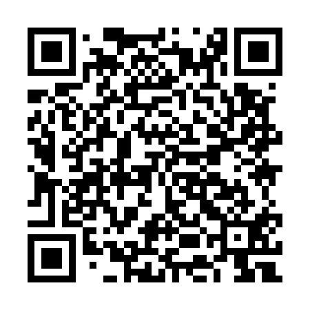 QR code for FEI511