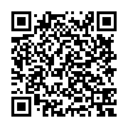 QR code for FEI838