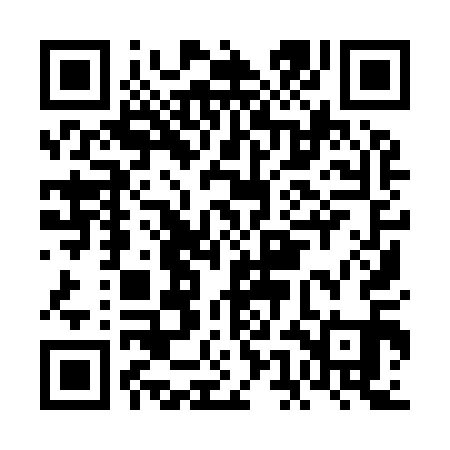 QR code for FEI911