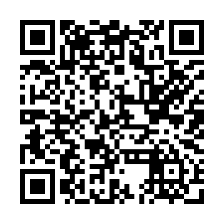 QR code for FEI995