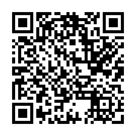 QR code for FEN313