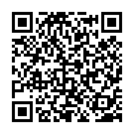 QR code for FEN419