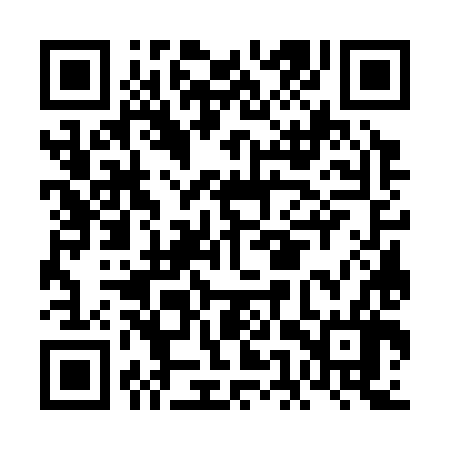 QR code for FEW386