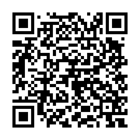 QR code for FEW466