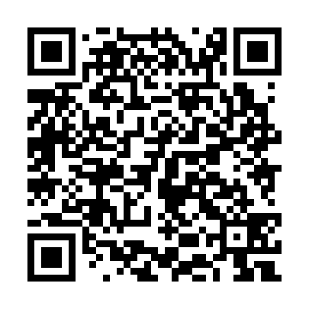 QR code for FEX339