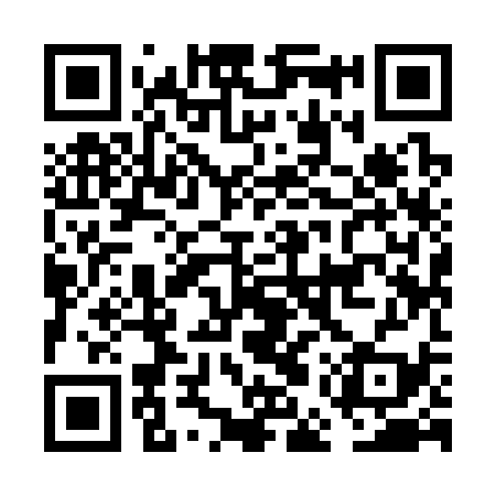 QR code for FEY339