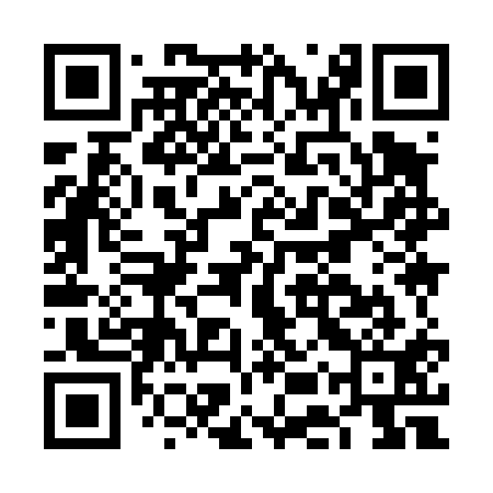 QR code for FEY411