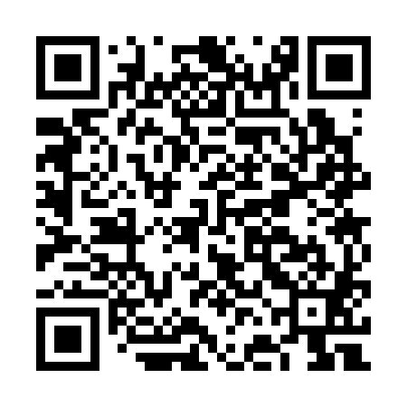 QR code for FFC381