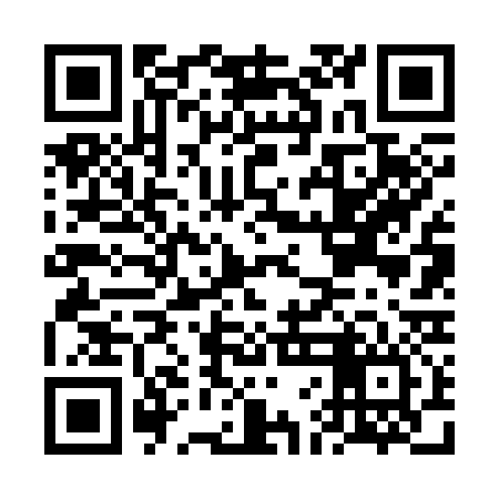 QR code for FFF336